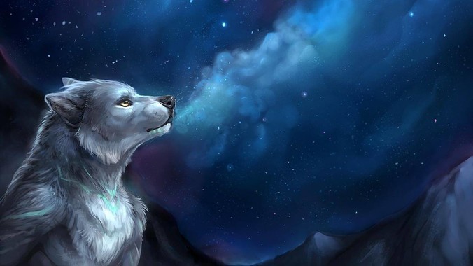 女明星陪酒真的存在吗？